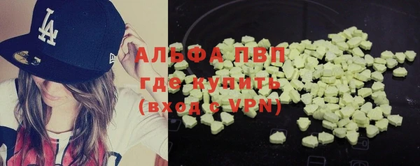стаф Абаза