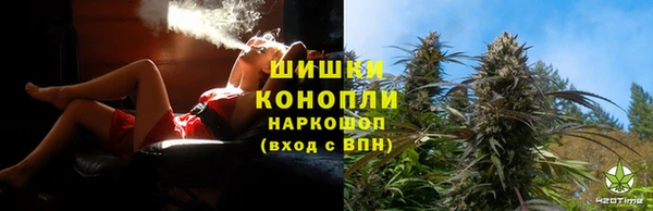 стаф Абаза