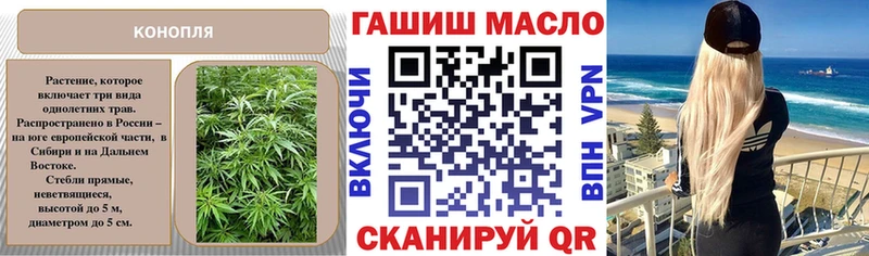 где найти   Североморск  Дистиллят ТГК Wax 