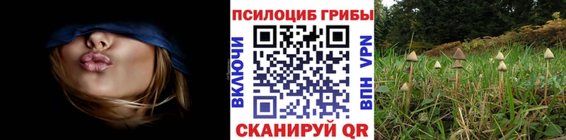 Галлюциногенные грибы мухоморы  Североморск 