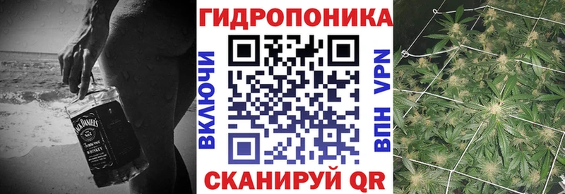 где купить наркоту  kraken tor  Бошки марихуана план  Североморск 